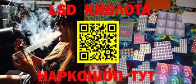 прущие грибы Донской