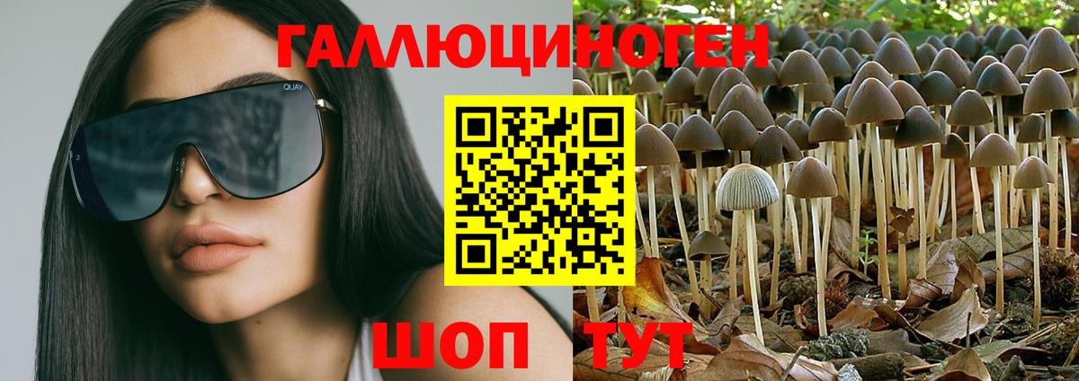 Галлюциногенные грибы мицелий  Вход с VPN  Мурманск  Галлюциногенные грибы Psilocybe 